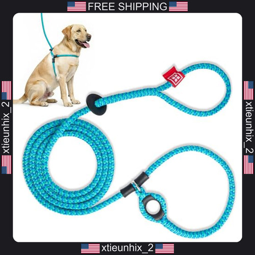 Pull dog harness and - pull, leash