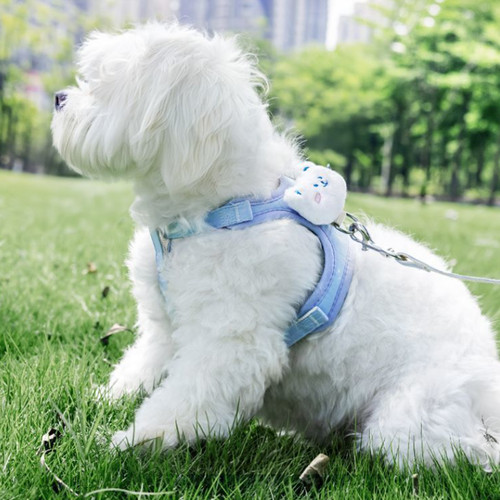 Dog harness small - dog, and