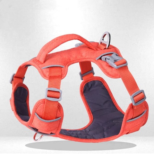 Dog harness - dog, for