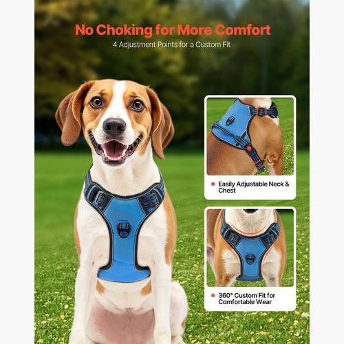 Reflective large dog - dog, harness