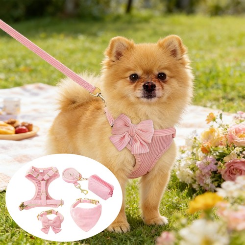 Small dog harness - small, and