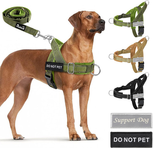 Pull dog harness and leash - dog,