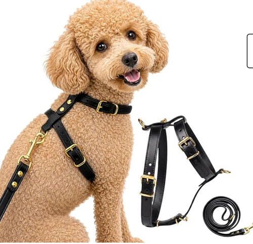 Luxury pull dog harness - no,