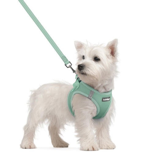 Dog harness small sized and - dog,