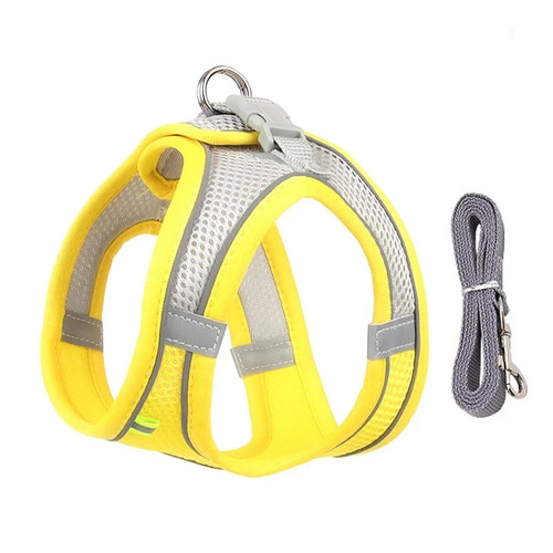 Dog harness leash - dog,
