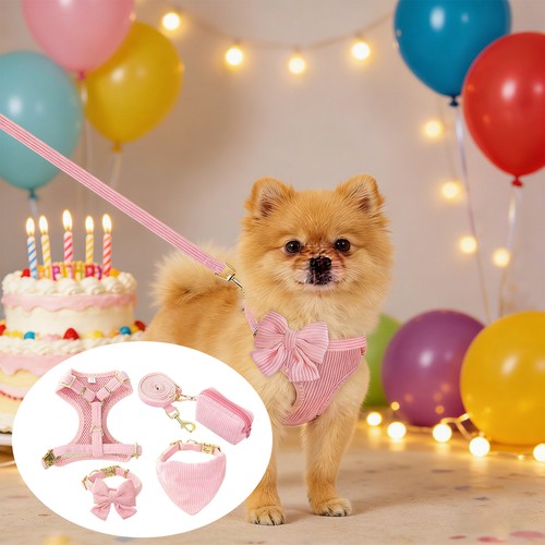 Small dog harness collar and - small,