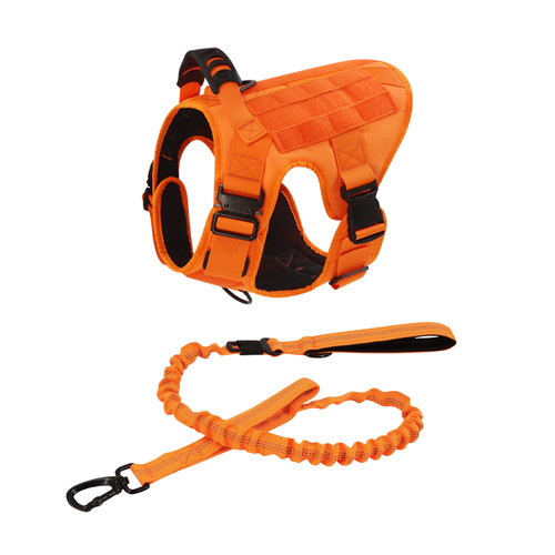 Tactical dog set - set,