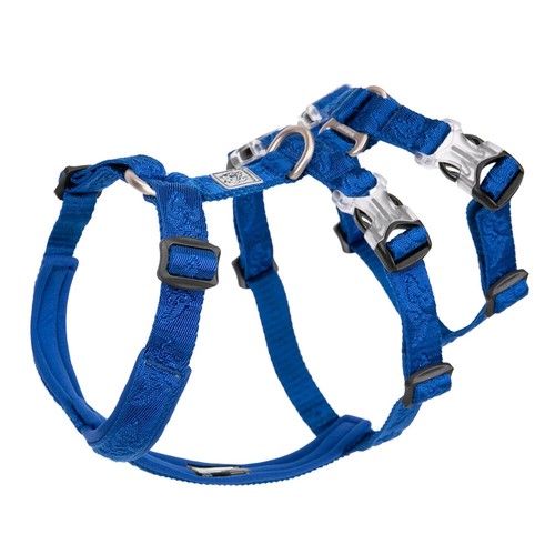 Dog harness pet - dog, strap