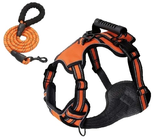 Dog harness leash - dog, &