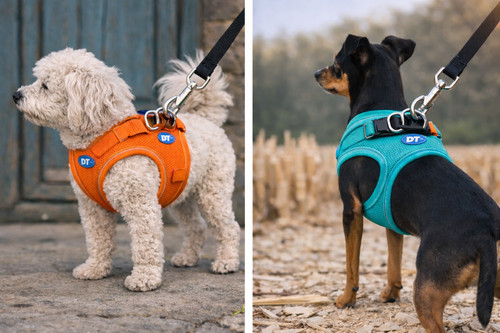 Dog harness air mesh orange - mesh,