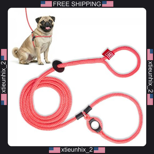Dog harness and leash - harness,