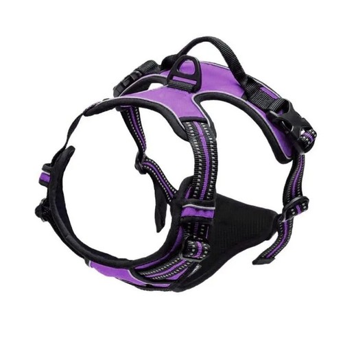 Dog harness training leash - dog,