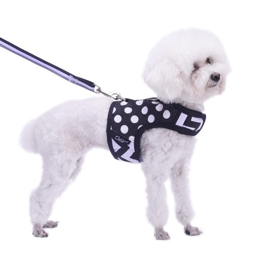 Small dog harness - harness, leash