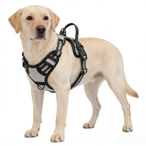 Gray pull dog harness - dog,