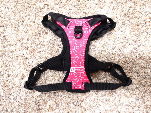 Brand new pull dog - brand,