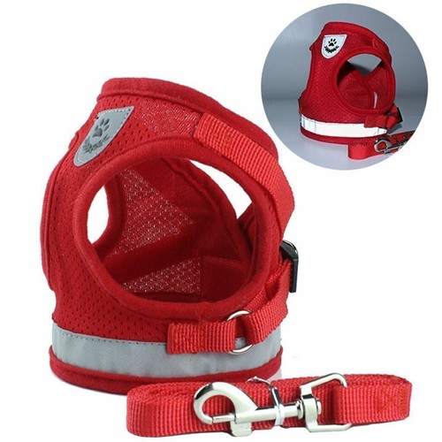 Mesh padded soft puppy pet - padded,