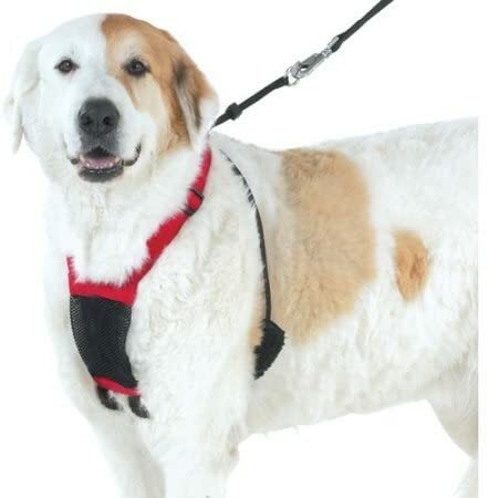 Clearance mesh dog puppy - clearance!, dog/puppy