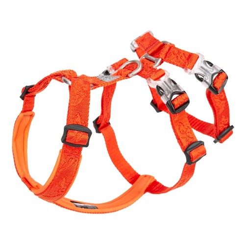 Dog harness pet strap - harness,