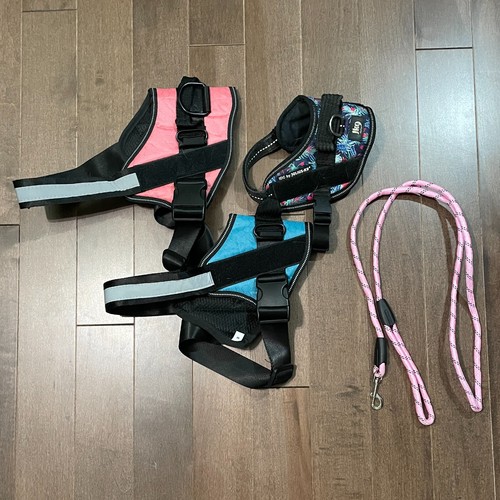 Used dog harness bundle - harness, bundle,