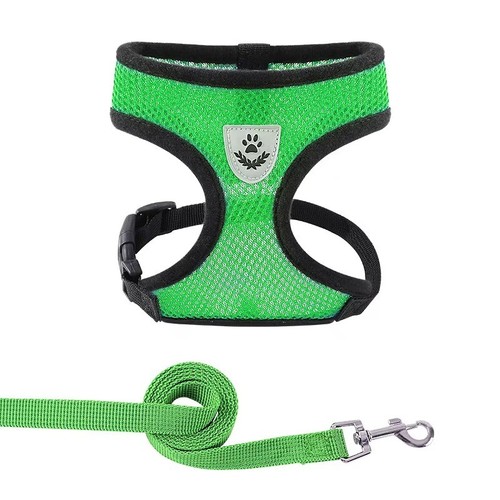 Mesh padded soft - soft, dog