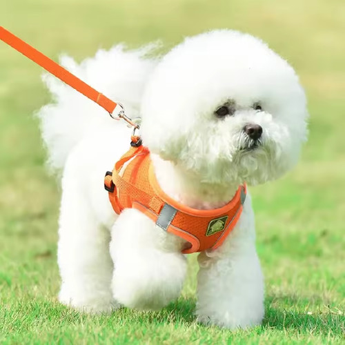 Mesh padded soft - pet, dog