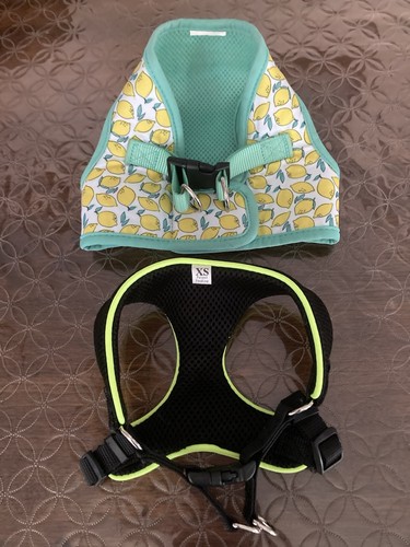 Small dog harnesses - small, harnesses,