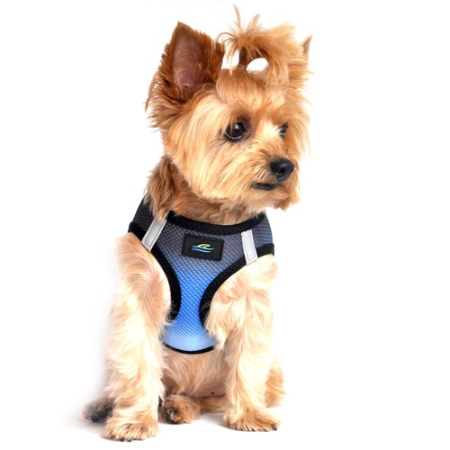Choke dog harness american - harness,