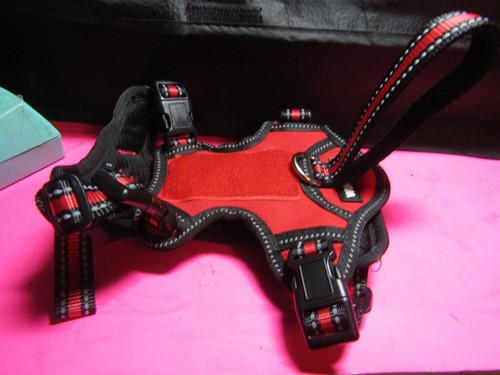 Small dog pull harness - small,