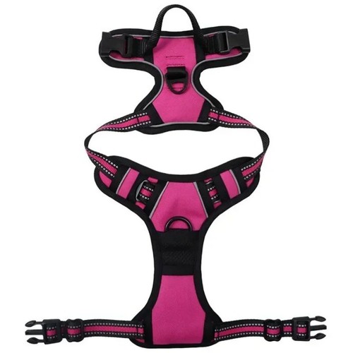 Dog harness training - harness,