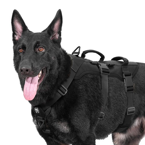 Escape proof pull dog - no,