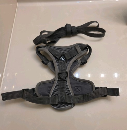 Harness and leash set designed