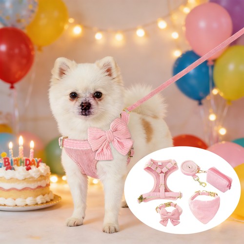 Small dog harness - dog, and
