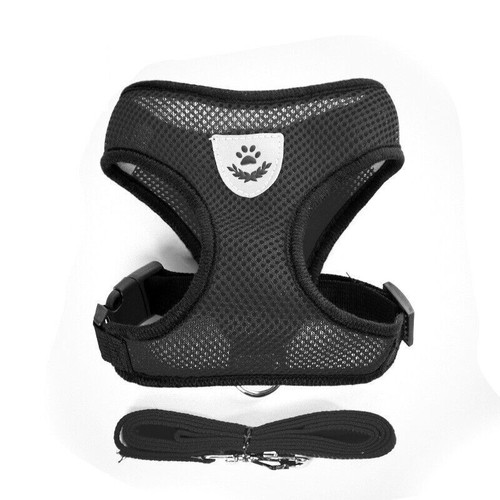 Mesh padded soft puppy - padded,