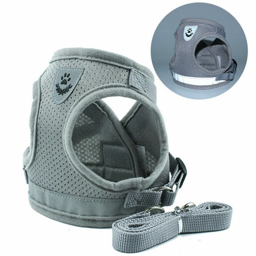 Small dog pet puppy harness - small,