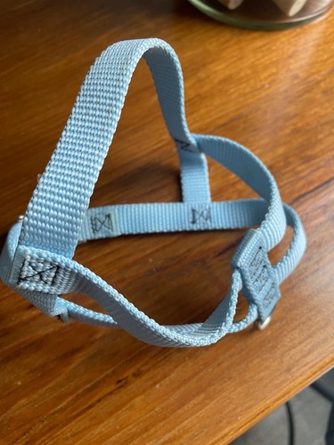 Dog harness light - harness:, blue