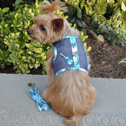 Dog harness matching leash - harness, &