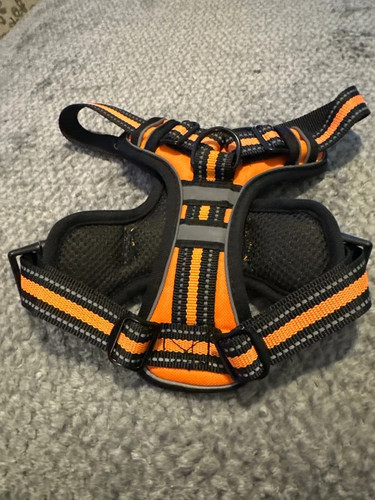 Dog harness pull pet - no,