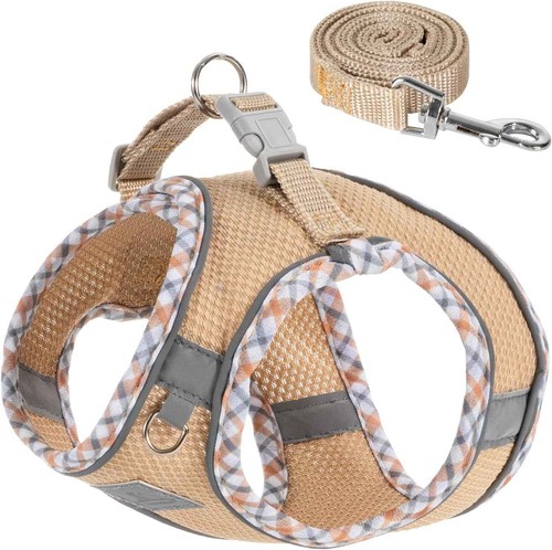 Reflective harness and leash - and,