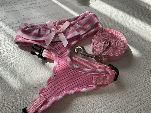 Dog harness and matching - dog,