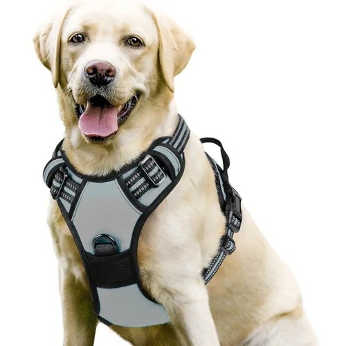 Dog harness training leash - dog,