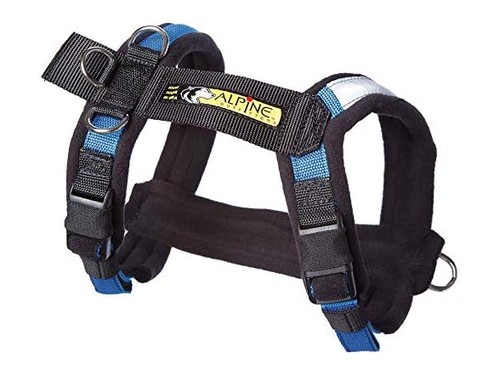 Adjustable dog harness - dog,