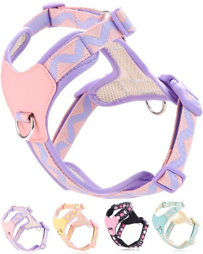 Purple small dog harness - harness, for