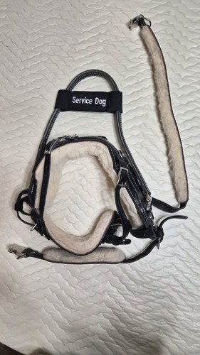 Bold lead designs leather - bold,