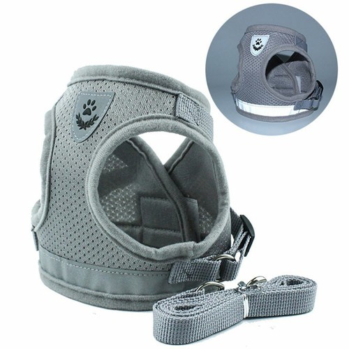 Pet control dog - dog, harness