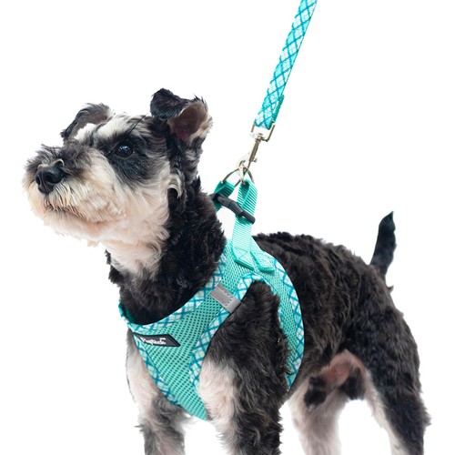 Dog harness and leash - harness, for