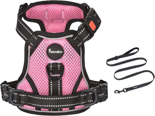 Pull dog harness and leash - no,