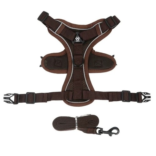 Pull dog harness and leash - pull,